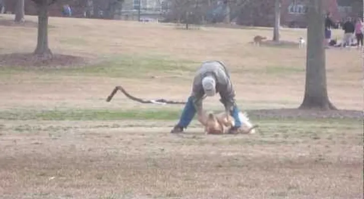 Un Oscar al Mejor Actor para este perro... (VIDEO)