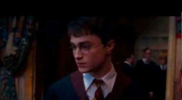 Actor de Harry Potter perdió su fortuna en alcohol, autos y mujeres (VIDEO)