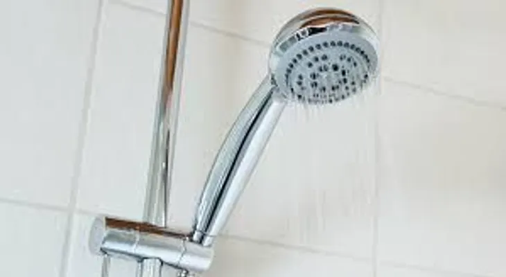 Advierten que en la ducha se esconde un organismo peligroso para la salud