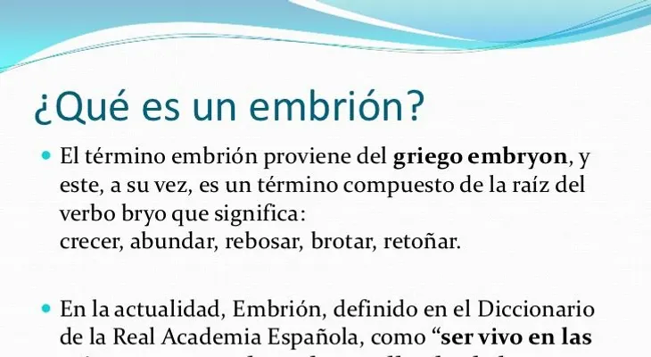 ¿Qué significa para la Cultura un embrión?