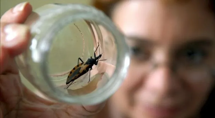  La lucha contra el Mal de Chagas en Colombia, Brasil y México se financia con juego