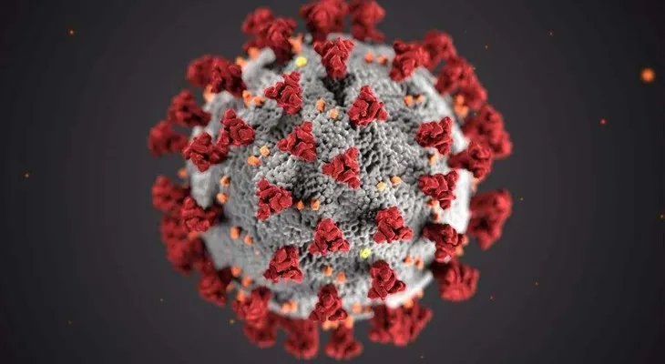 ¿Qué se sabe de la nueva variante de coronavirus hallada en Sudáfrica?