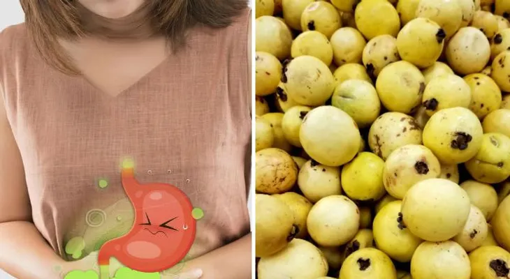 La guayaba controla la diabetes, mejora la vista, combate la diarrea y elimina los resfriados
