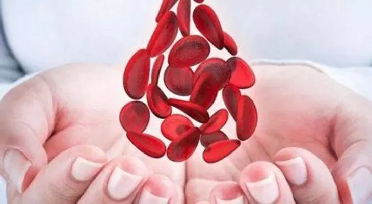 La hemofilia es una enfermedad que se transmite de padres a hijos a través de los genes 