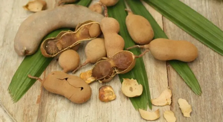 3 beneficios del tamarindo y cómo consumirlo