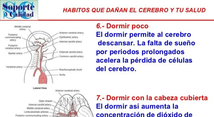 Habitos que dañan el cerebro