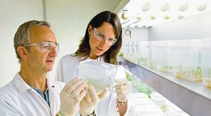 Bayer anuncia extensión de cierre de convocatoria para premio periodístico