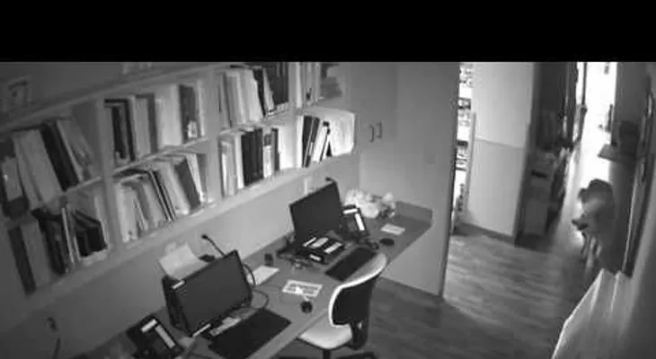 Un perro escapa abriendo todo lo que encuntra a su paso