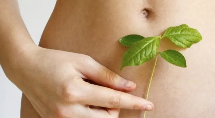 5 alimentos para repoblar la flora intestinal