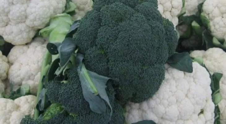 Brócoli y coliflor: Tus aliados para bajar de peso