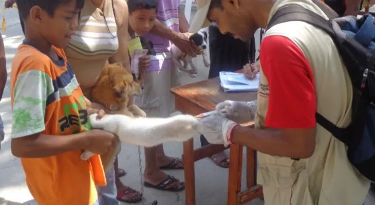 Realizan jornada para vacunar contra rabia 200 mil perros y gatos