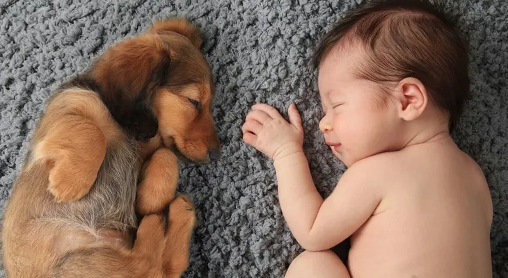 Los niños que conviven con mascotas son menos propensos a sufrir alergias