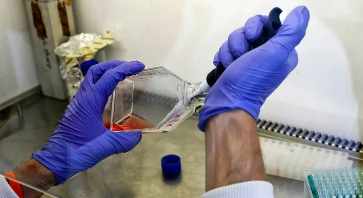 Una nueva tecnología hace que las células cancerosas se asesinen