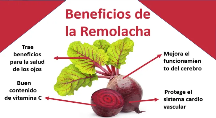 Elimina la grasa de tu hígado y controla la hipertensión con remolacha (betabel); también mejora tu circulación