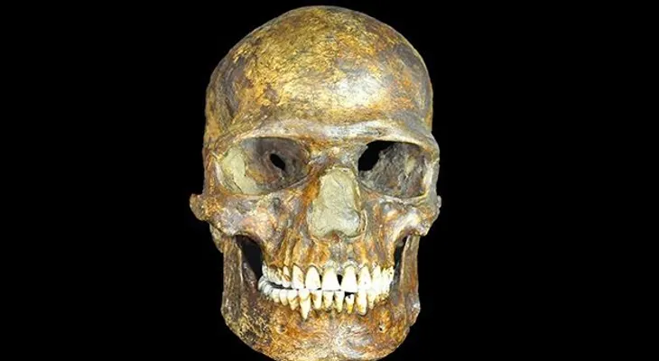 Descubren antigua población humana desconocida 