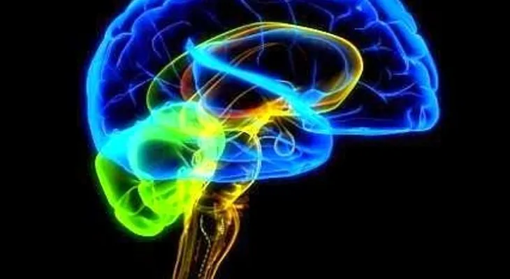 La Enfermedad Inflamatoria Intestinal se camuflajea y hace difícil su detección