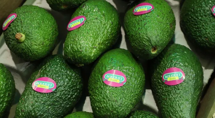 Oro verde: el aguacate le deja más ganancias a México que los hidrocarburos