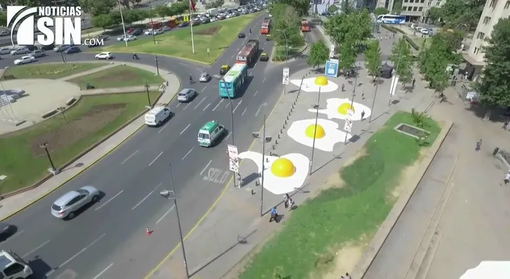 Huevos gigantes llaman la atención en Chile