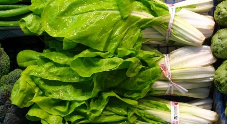 4 vegetales que debes comer con moderación