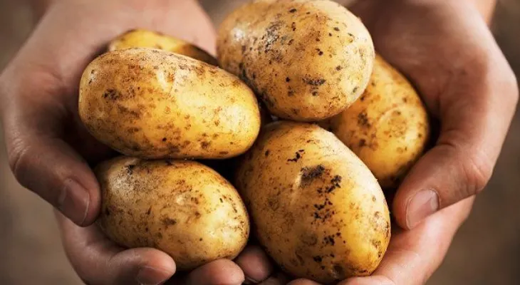 10 vegetales que engordan si no los consumes con moderación