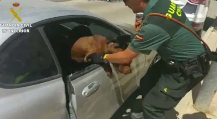 Rescatan a un perro que estuvo a punto de morir encerrado en un vehículo