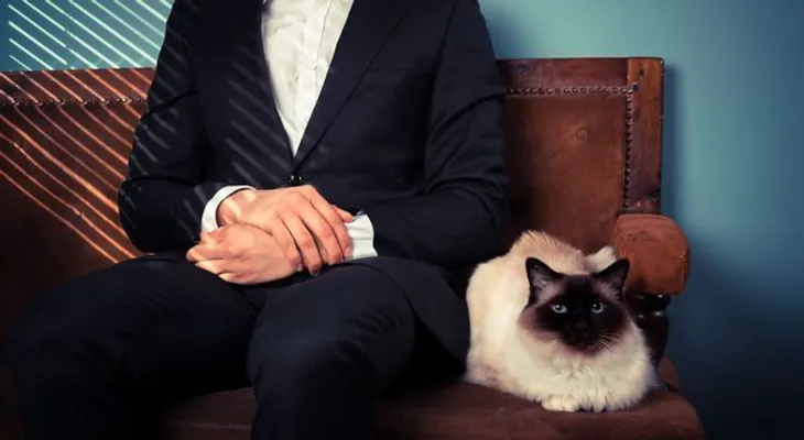 Las personas infectadas por un parásito de gato son más emprendedores