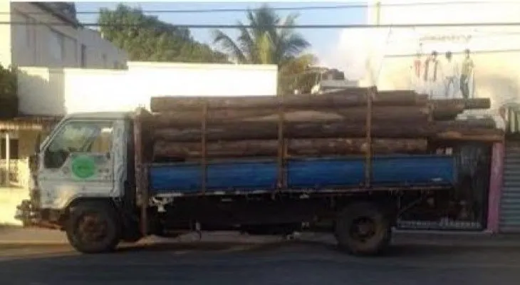Apresan dos hombres habían robado cargamento de maderas preciosas