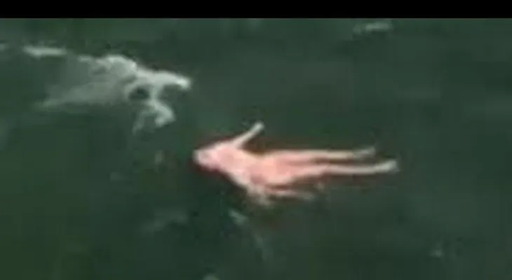 Impactante ! chica se suicida en las cataratas del Niagara (nuevo)