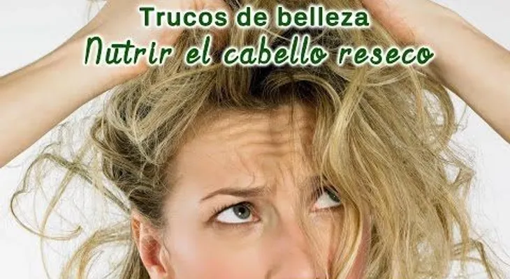 Trucos para nutrir el cabello reseco (VIDEO)