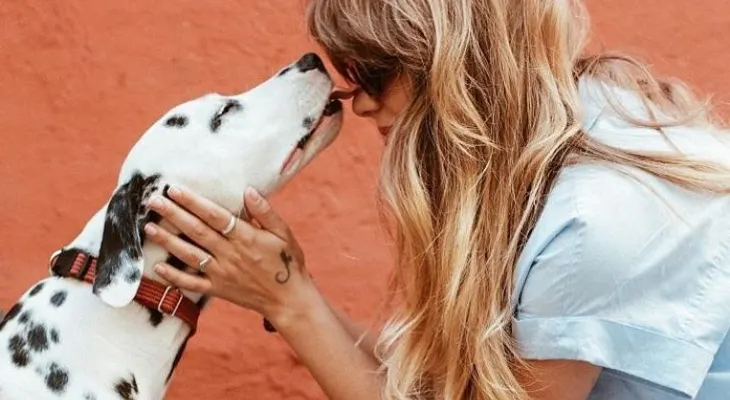 Confirman enfermedad de perro que se contagia a los humanos