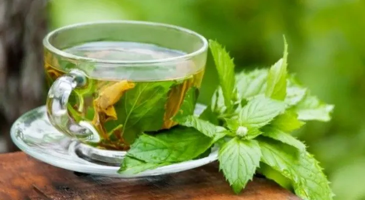 El té verde es tan bueno como dicen
