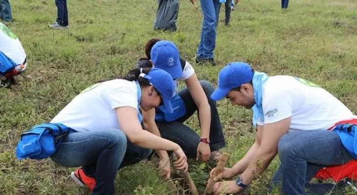 Grupo Popular siembran 6,180 árboles en San José de las Matas