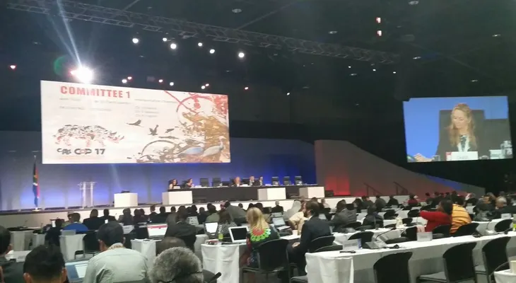 RD es seleccionado país alterno en Comité Permanente de CITES en representación de área del Caribe