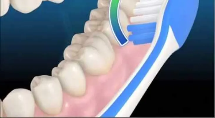 La correcta forma del cepillado (Video)