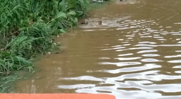 Sigue sin éxito búsqueda de niño de 4 años lanzado por otro de 7 al río La Yuca en La Victoria