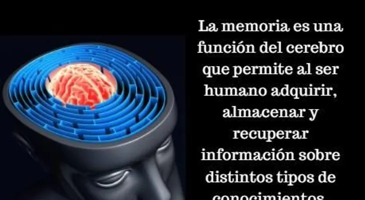 Qué comer para mejorar la memoria 