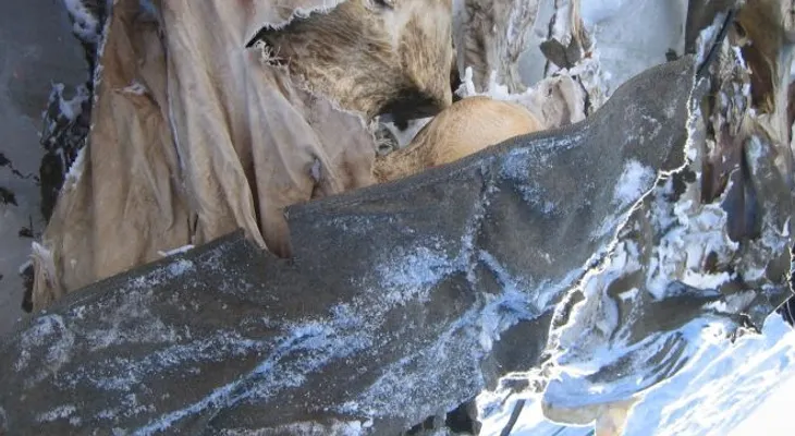 El deshielo en los Alpes reveló cadáveres de soldados de la I Guerra Mundial