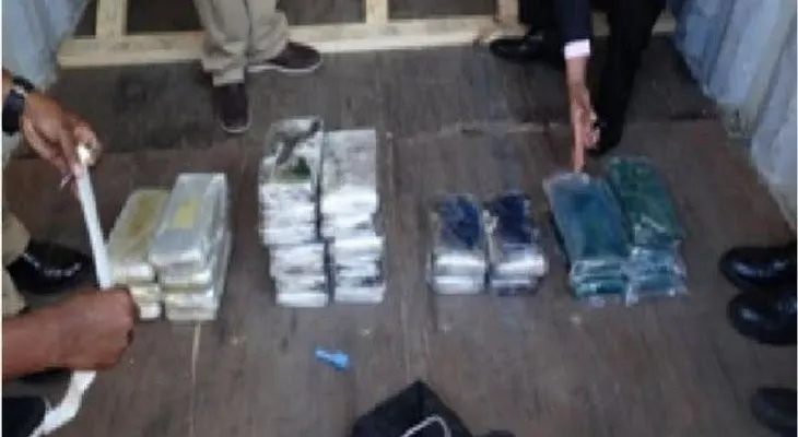 Ocupan 29 paquetes de droga en el Puerto Multimodal Caucedo