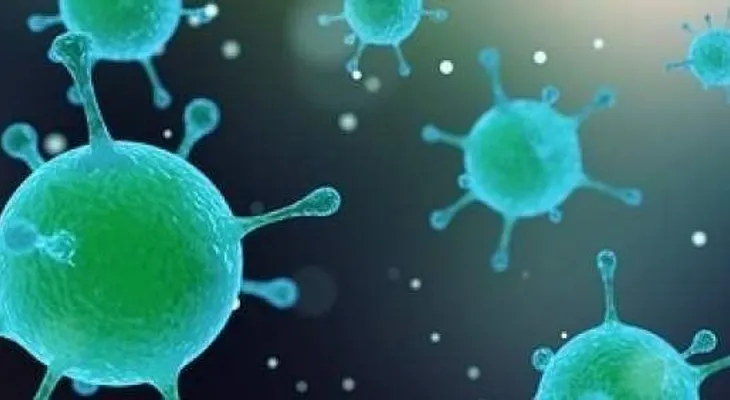  Las bacterias proliferan de forma organizada y con una misión específica 