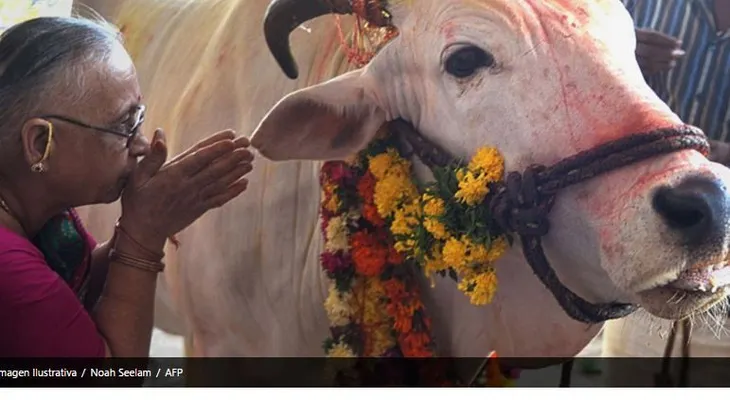 Violan en India a dos jóvenes musulmanas por comer carne de res