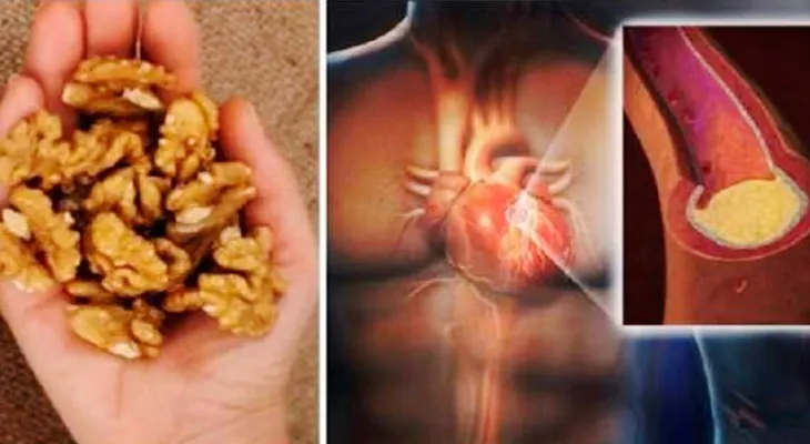 Come 3 nueces, espera 4 horas y ESTO es lo que le ocurrirá a tu cuerpo