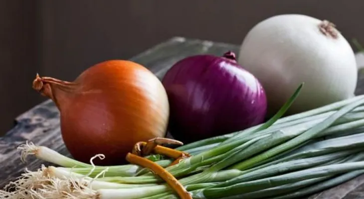Cebolla: Remedio curativo y de belleza, terapéutica y mágica, para quitar el dolor de garganta y la tos