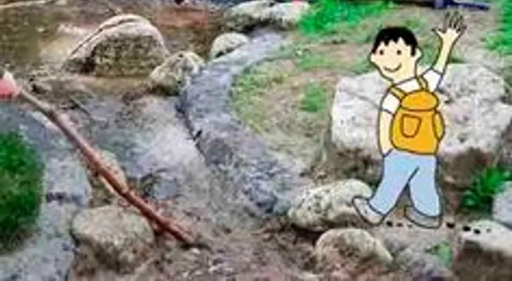 Los niños pueden tener una mejor salud, con un patio escolar verde