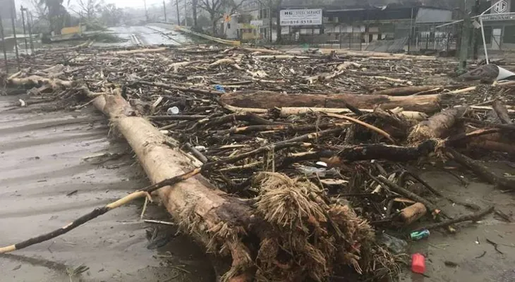  Aumenta a 48 cantidad de personas muertas en PR por huracán María 