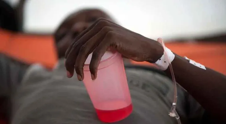  Suman 204 cantidad personas muertas en Sudáfrica por brote de listerioris 