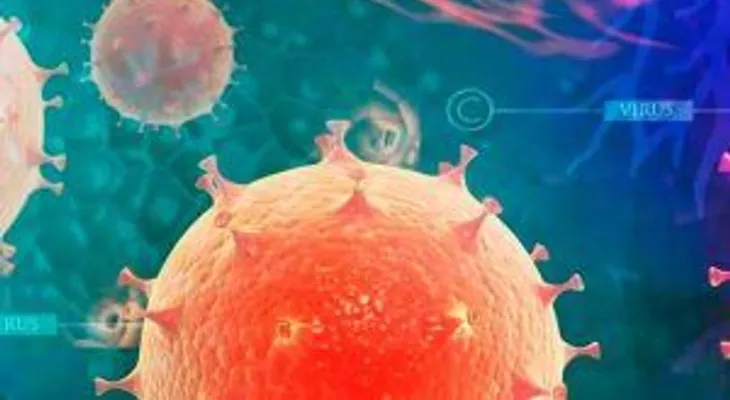 Como prevenir este letal virus antes de que sea muy tarde
