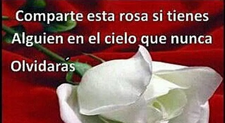 Rosas para el alma  ¡¡¡Olvidarás!!!