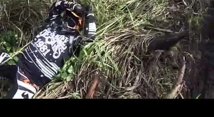 Sufre accidente y cae junto a una serpientes venenosa (Video)