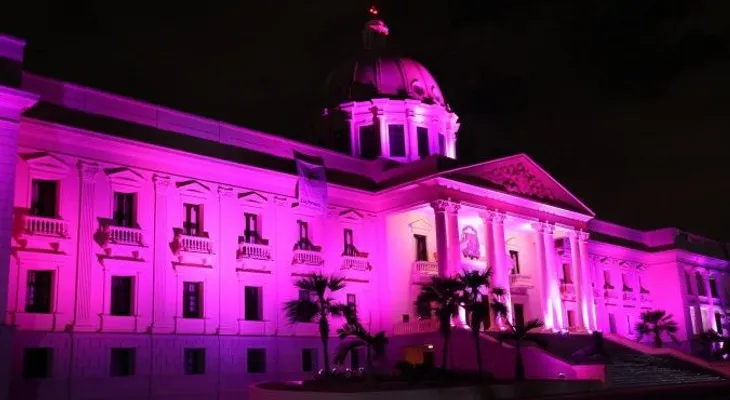 El Palacio Presidencial se ilumina de color rosa 
