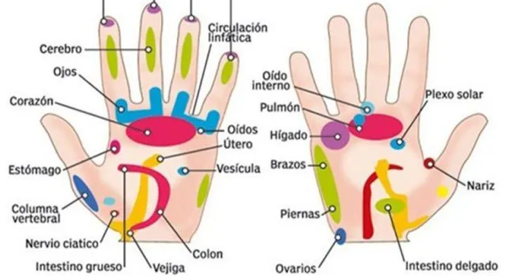 El secreto de tu salud al alcance de tus manos: revelan secreto para curar cualquier enfermedad